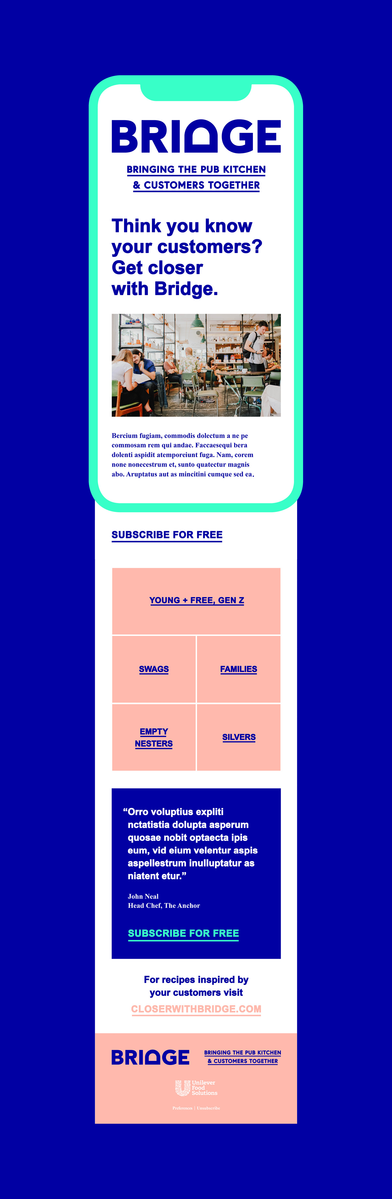 bridge-email-mobile-long